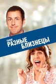 Постер Такие разные близнецы (2011)