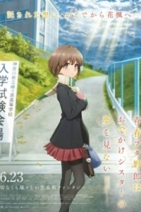 Постер Этот глупый свин не понимает мечту сестры на прогулке (Seishun Buta Yarou wa Odekake Sister no Yume wo Minai)