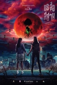 Постер Сестры (The Sisters)