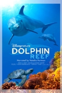 Постер Дельфиний риф (Dolphin Reef)