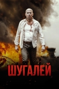 Постер Шугалей 
