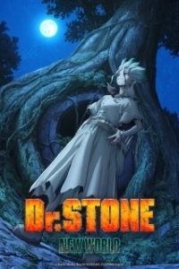 Постер Доктор Стоун (Dr. Stone)