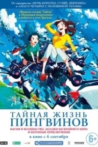Постер Тайная жизнь пингвинов (Penguin Highway)