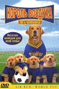 Постер Король воздуха: Лига чемпионов (Air Bud: World Pup)