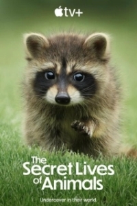 Постер Тайная жизнь животных (The Secret Lives of Animals)