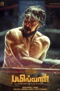 Постер Рестлер (Pailwaan)