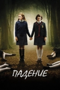 Постер Падение (The Falling)