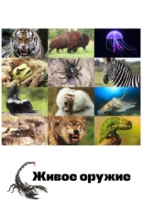 Постер Живое оружие (Animal Armory)