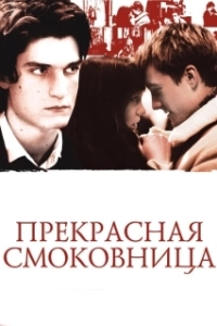 Постер Прекрасная смоковница (La belle personne)