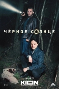 Постер Черное солнце