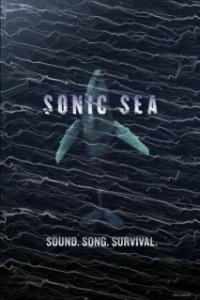 Постер Оглушающий океан (Sonic Sea)