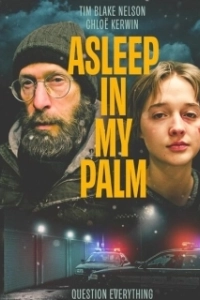 Постер Она заснула в моей ладони (Asleep in My Palm)