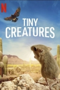 Постер Крошечные существа (Tiny Creatures)