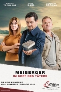 Постер Майбергер. В голове преступника. (Meiberger - Im Kopf des Täters)