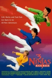 Постер Три ниндзя наносят ответный уда (3 Ninjas II: Kick Back)