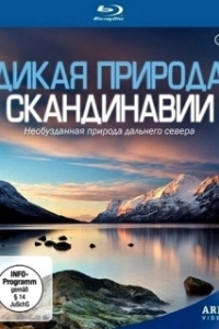 Постер Дикая природа Скандинавии (Wildes Skandinavien)