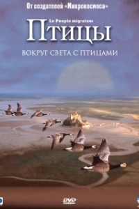 Постер Птицы (The Birds)