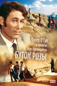 Постер Бутон розы (Rosebud)