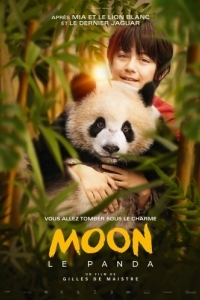 Постер Моя панда (Moon le panda)