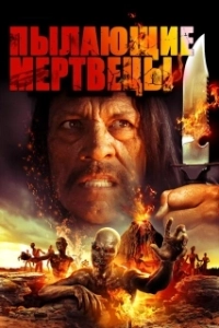 Постер Пылающие мертвецы (Volcano Zombies)