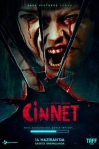 Постер Джинн (Cinnet)