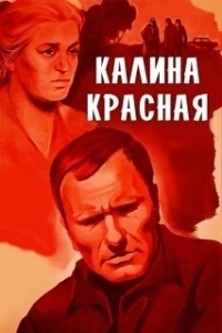 Постер Калина красная 