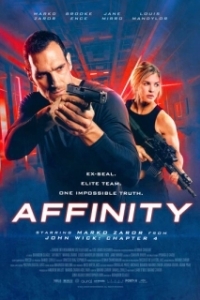 Постер Влечение (Affinity)