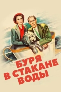 Постер Буря в стакане воды (Storm in a Teacup)