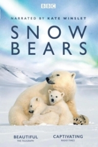 Постер Снежные медведи (Snow Bears)