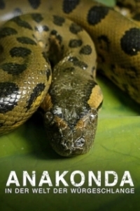 Постер Анаконда: Тихий убийца (Anaconda: Silent Killer)