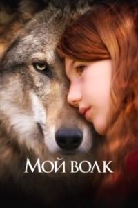 Постер Мой волк (Mystère)