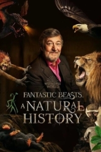 Постер Фантастические твари: Естественная история (Fantastic Beasts: A Natural History)