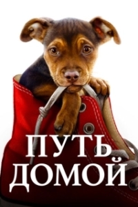 Постер Путь домой (A Dog's Way Home)
