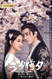 Постер Какая сегодня ночь! (Jin xi he xi)
