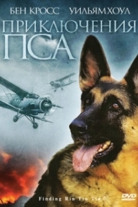 Постер Приключения пса (Finding RinTinTin)