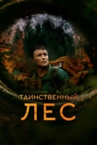 Постер Таинственный лес (Loop Track)