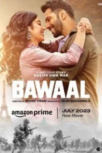Постер Волнение (Bawaal)