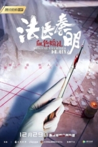 Постер Судмедэксперт доктор Цинь: Кровавая свадьба (Medical Examiner Dr. Qin: Blood Red Wedding)