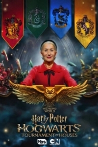 Постер Гарри Поттер: Битва факультетов (Harry Potter: Hogwarts Tournament of Houses)