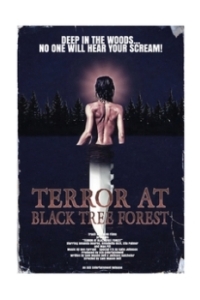 Постер Ужас в тёмном лесу (Terror at Black Tree Forest)