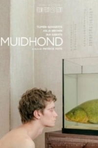 Постер Линь (Muidhond)