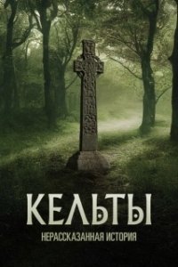 Постер Кельты: Нерассказанная история (Celts: The Untold Story)