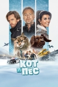 Постер Кот и пёс (Chien et chat)
