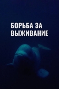 Постер Борьба за выживание (Struggle for survival)
