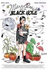Постер Волшебство и чёрная дыра (Marvelous and the Black Hole)