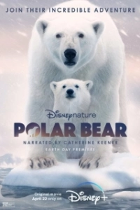 Постер Полярный медведь (Polar Bear)