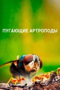 Постер Пугающие артроподы (Creepy Crawlies)