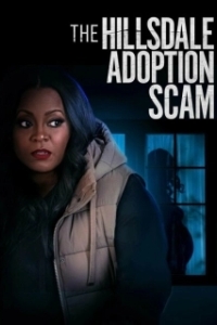 Постер Обманное усыновление в Хилсдейле (The Hillsdale Adoption Scam)