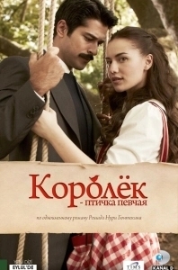 Постер Королёк - птичка певчая (Çalikusu)