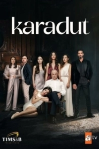 Постер Чёрная шелковица (Karadut)